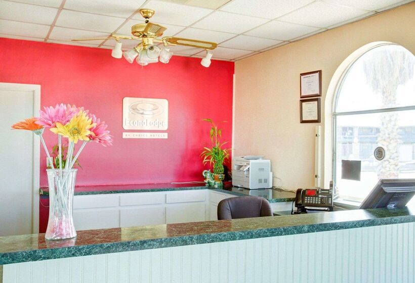 فندق Econo Lodge Temple