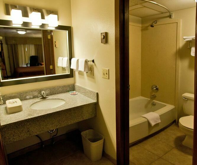 בית מלון כפרי Econo Lodge Downtown