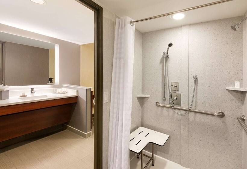 هتل Embassy Suites By Hilton Atlanta Airport