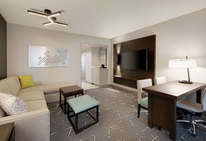 酒店 Embassy Suites By Hilton Atlanta Perimeter Center