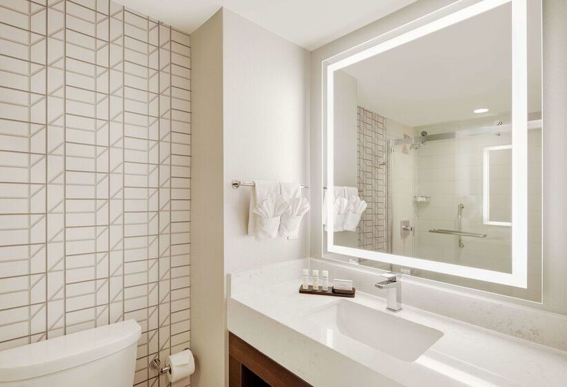 酒店 Embassy Suites By Hilton Atlanta Perimeter Center