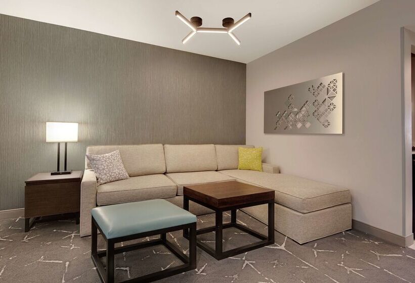 酒店 Embassy Suites By Hilton Atlanta Perimeter Center