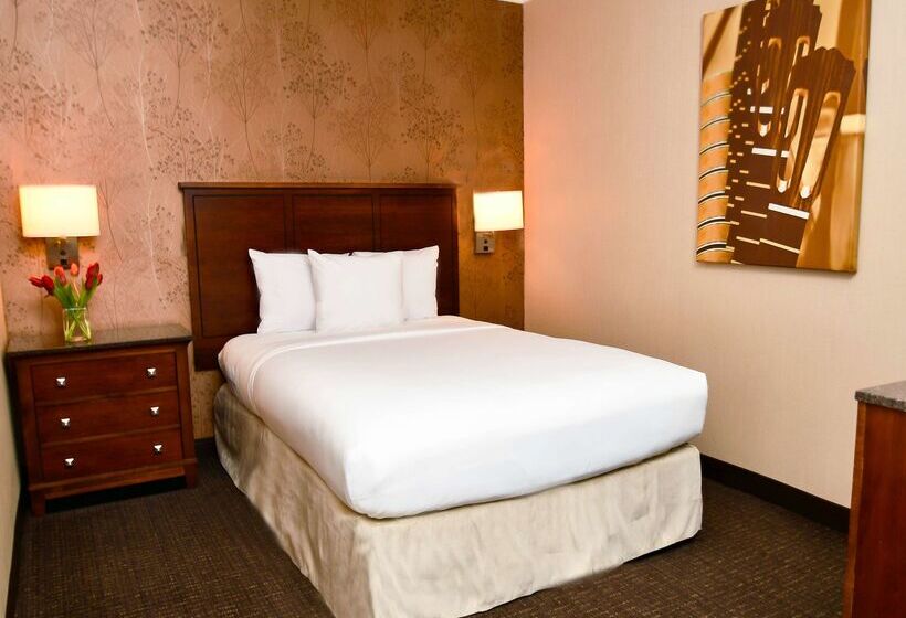 Отель Embassy Suites By Hilton Austin Downtown South Congress