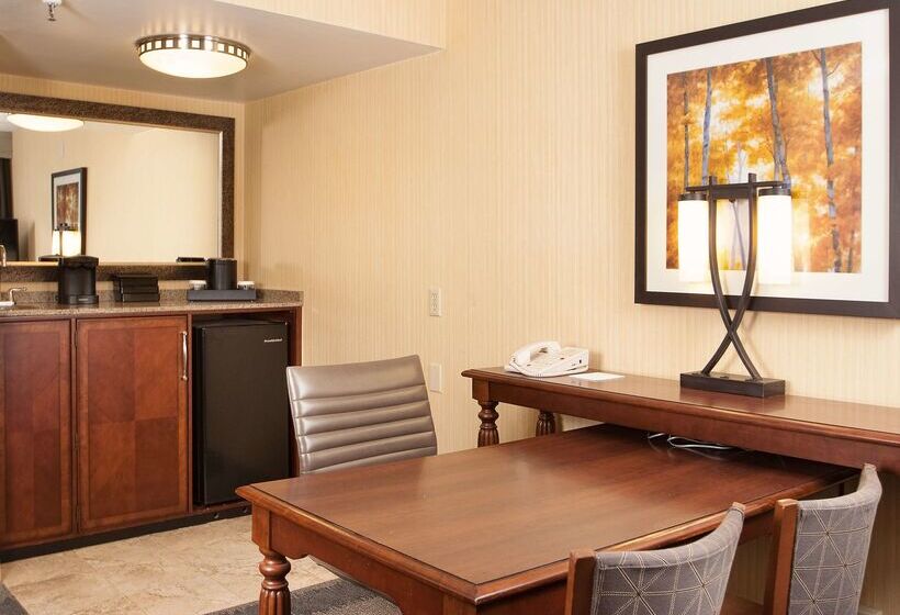 酒店 Embassy Suites By Hilton Bloomington/minneapolis