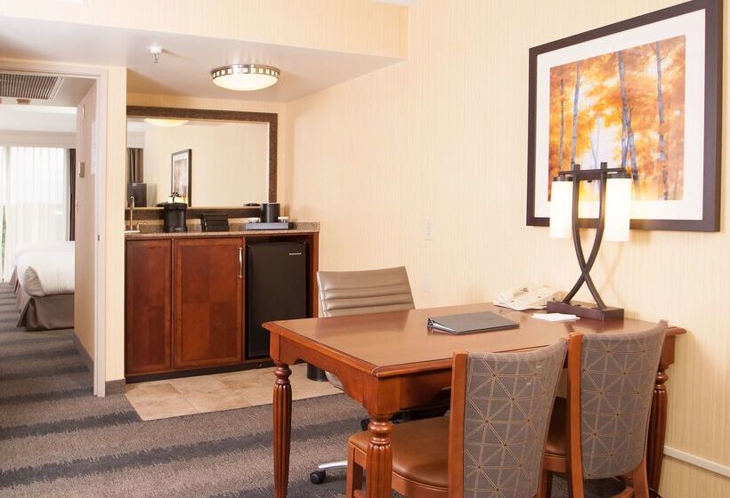 هتل Embassy Suites By Hilton Bloomington/minneapolis