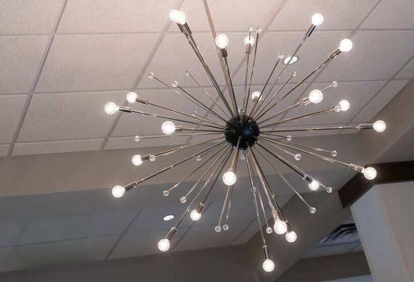 酒店 Embassy Suites By Hilton Bloomington/minneapolis