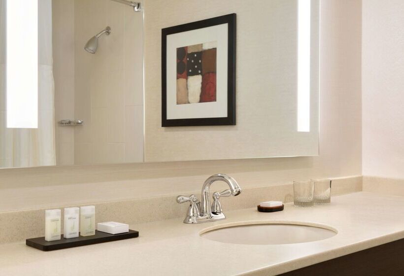 هتل Embassy Suites By Hilton Chicago North Shore Deerfield