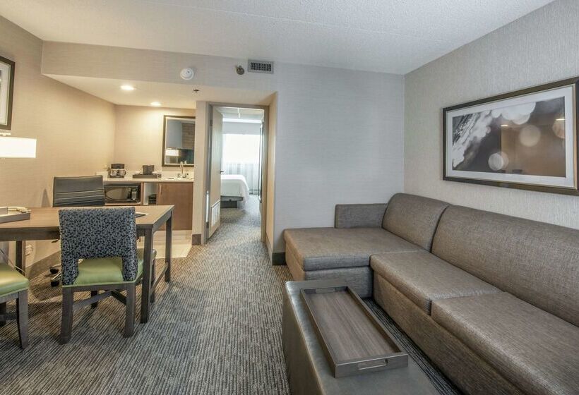 هتل Embassy Suites By Hilton Chicago Schaumburg Woodfield