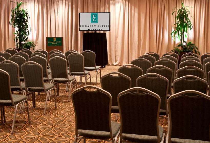 Отель Embassy Suites By Hilton Chicago Schaumburg Woodfield