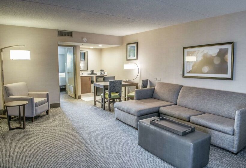 هتل Embassy Suites By Hilton Chicago Schaumburg Woodfield