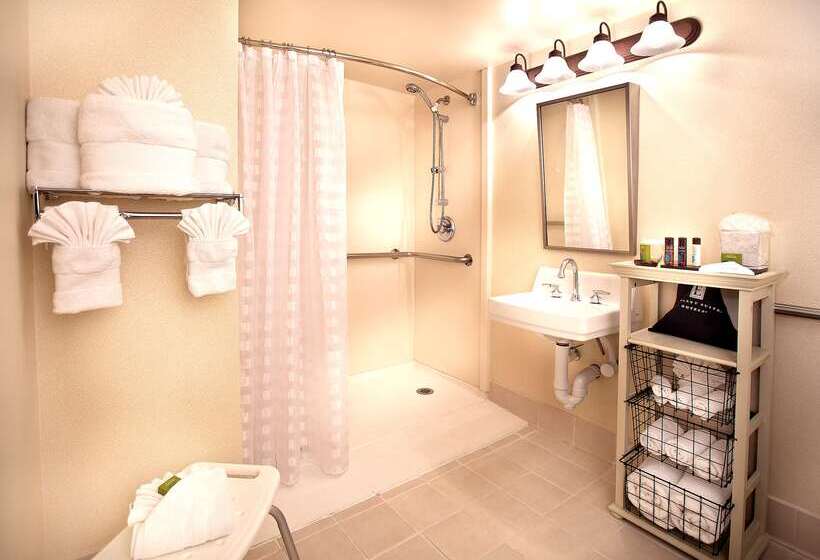 Отель Embassy Suites By Hilton Chicago Schaumburg Woodfield