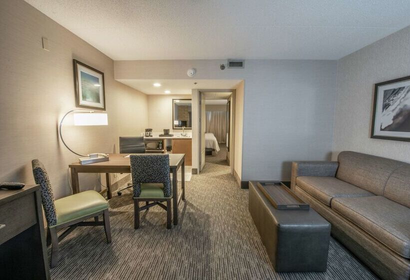 Отель Embassy Suites By Hilton Chicago Schaumburg Woodfield