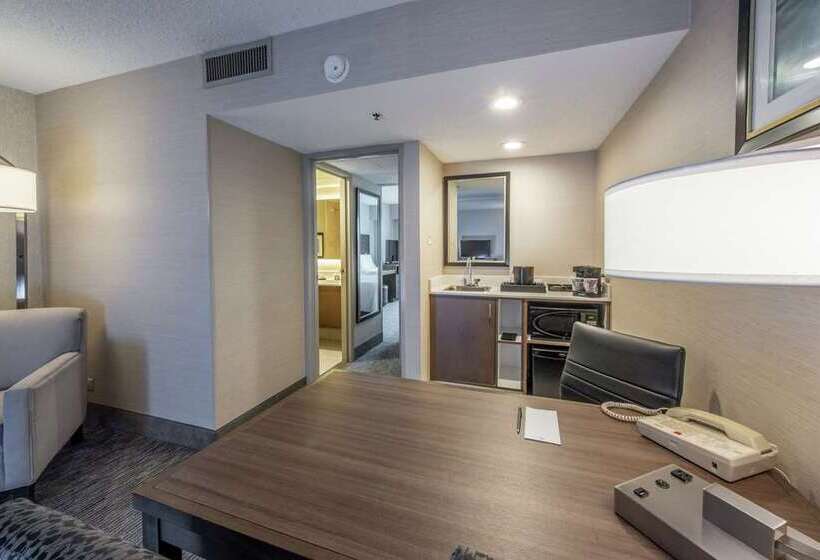 Отель Embassy Suites By Hilton Chicago Schaumburg Woodfield