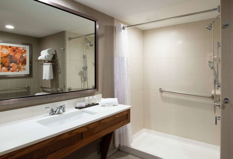 Отель Embassy Suites By Hilton Colorado Springs