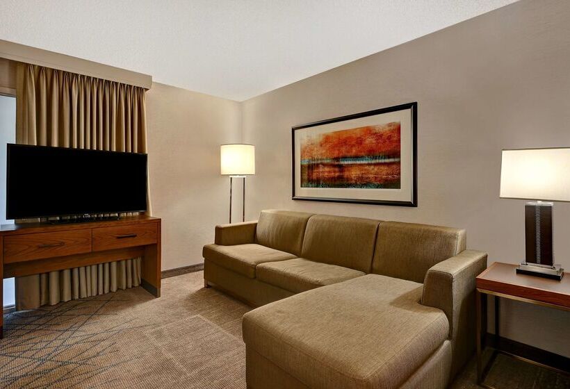 Отель Embassy Suites By Hilton Colorado Springs