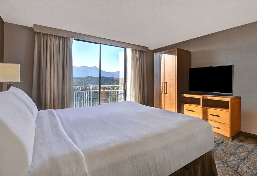 Отель Embassy Suites By Hilton Colorado Springs