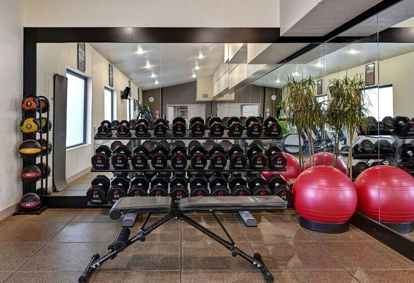 Отель Embassy Suites By Hilton Colorado Springs