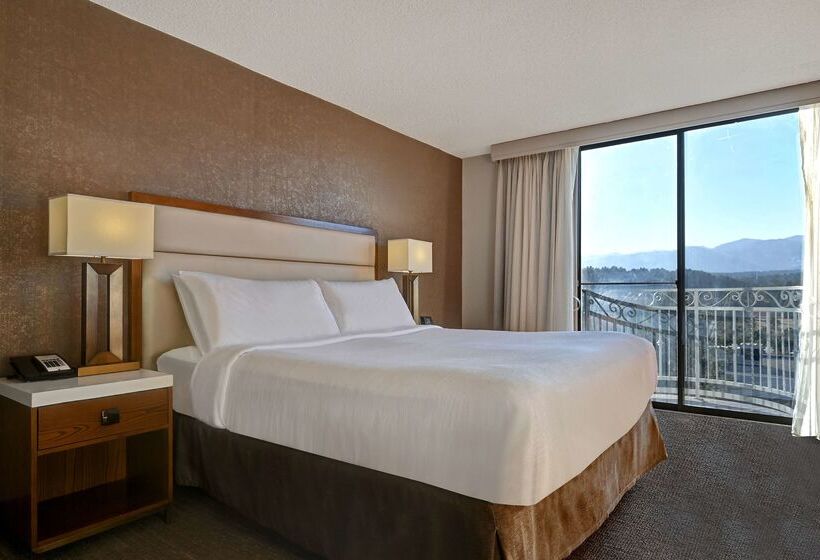 Отель Embassy Suites By Hilton Colorado Springs