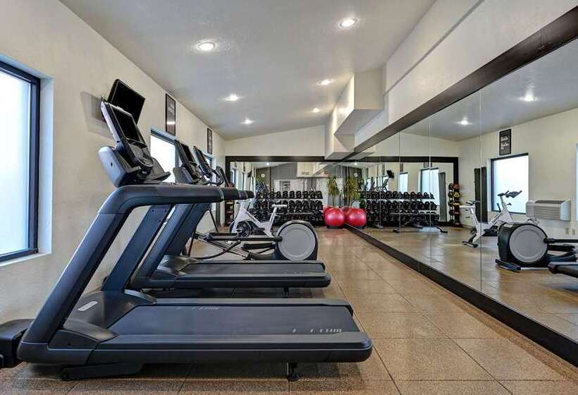 Отель Embassy Suites By Hilton Colorado Springs