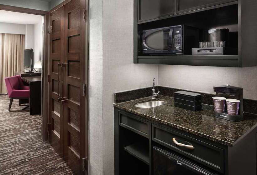 酒店 Embassy Suites By Hilton Crystal City National Airport