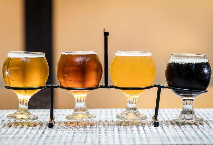 酒店 Embassy Suites By Hilton Crystal City National Airport