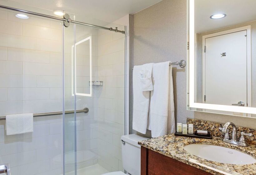 فندق Embassy Suites By Hilton Dallas Market Center