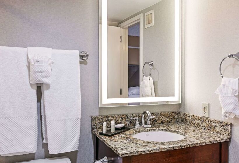 فندق Embassy Suites By Hilton Dallas Market Center