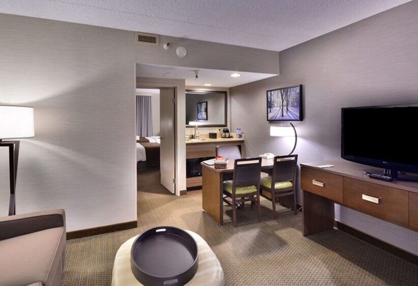 هتل Embassy Suites By Hilton Denver Central Park