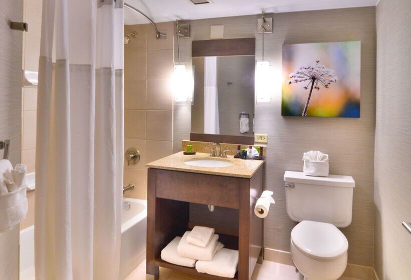 בית מלון כפרי Embassy Suites By Hilton Denver Central Park