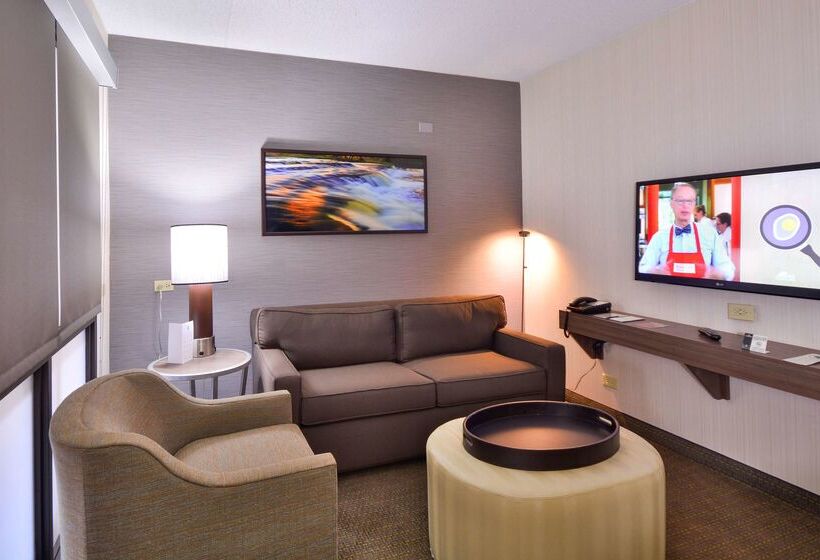 בית מלון כפרי Embassy Suites By Hilton Denver Central Park