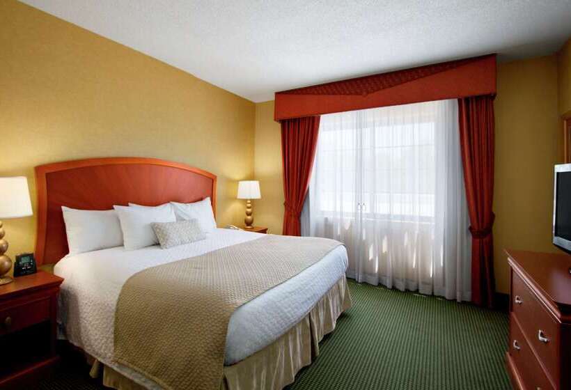 Отель Embassy Suites By Hilton Greensboro Airport