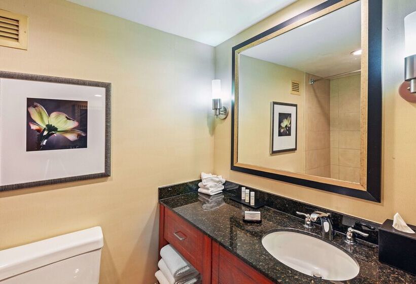 Отель Embassy Suites By Hilton Greensboro Airport