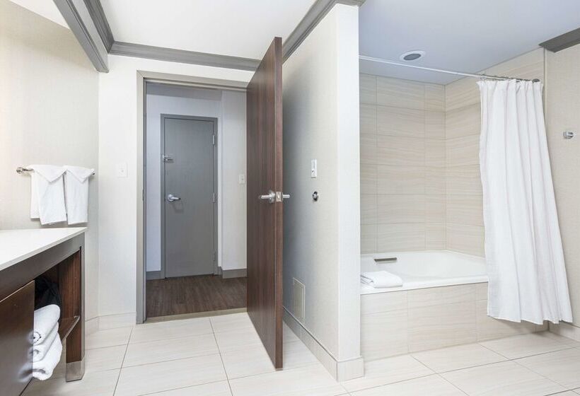 Отель Embassy Suites By Hilton Indianapolis Downtown