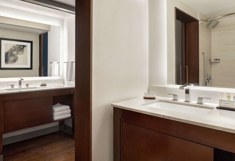 Отель Embassy Suites By Hilton Indianapolis Downtown