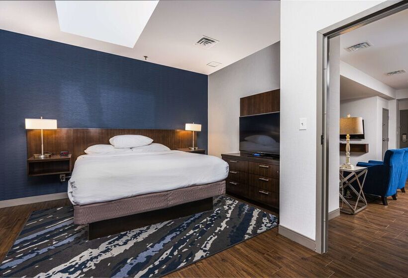 Отель Embassy Suites By Hilton Indianapolis Downtown