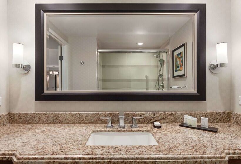 فندق Embassy Suites By Hilton Irvine Orange County Airport