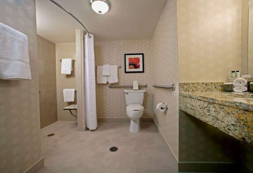 Отель Embassy Suites By Hilton Palm Desert