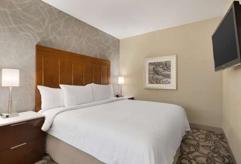 فندق Embassy Suites By Hilton San Antonio Airport