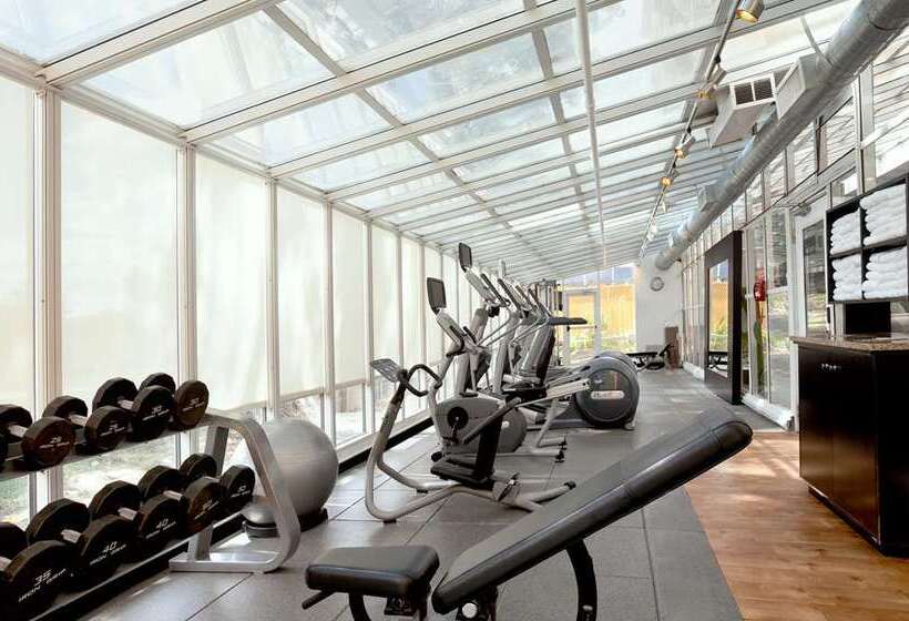 Отель Embassy Suites By Hilton San Francisco Airport Waterfront