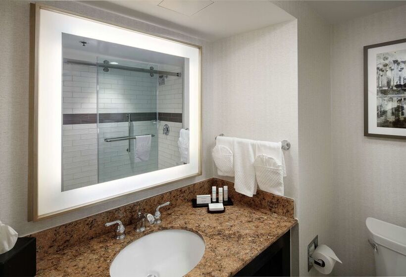 酒店 Embassy Suites By Hilton Tysons Corner