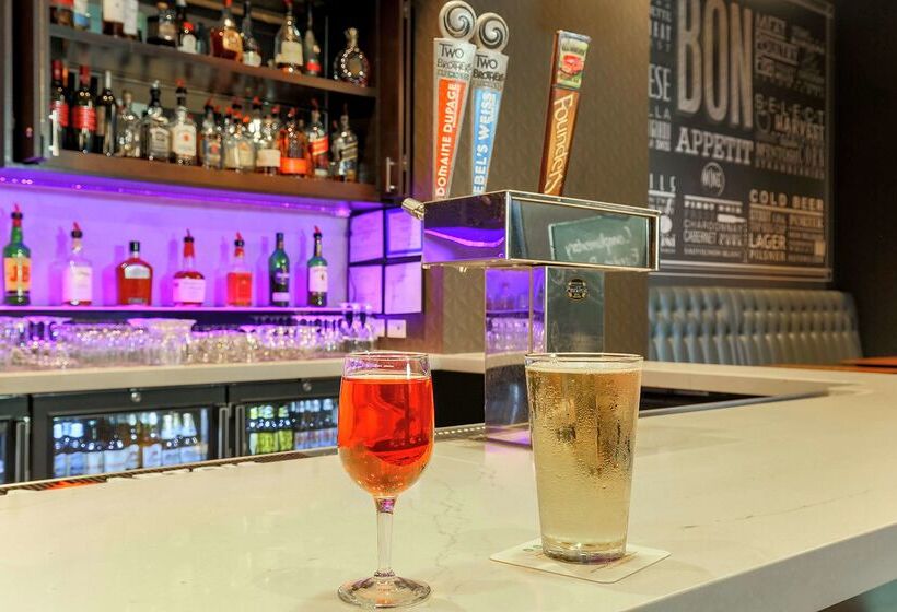 فندق Embassy Suites By Hilton Chicago Lombard Oak Brook