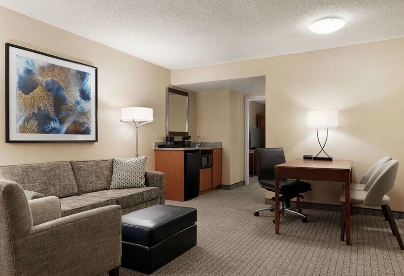 酒店 Embassy Suites By Hilton Cincinnati Rivercenter