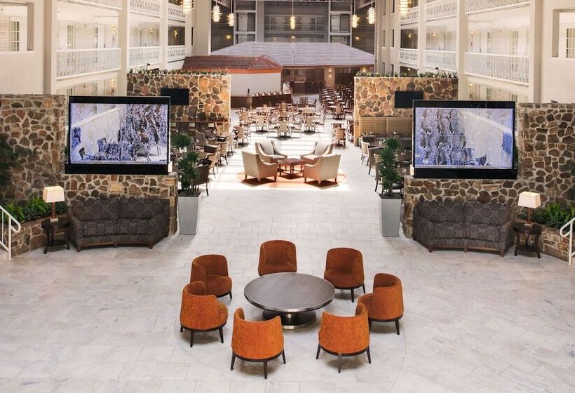 فندق Embassy Suites Corpus Christi