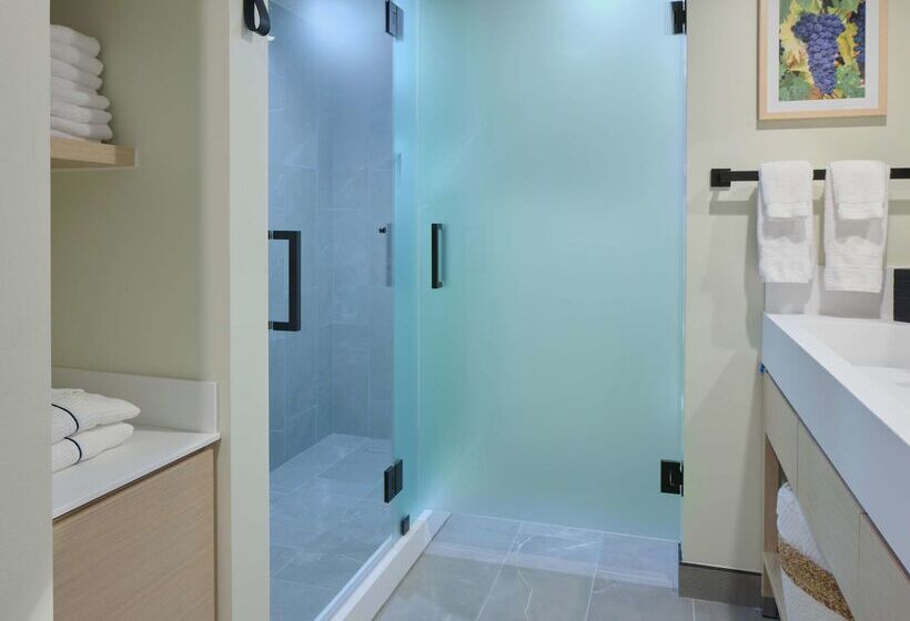 Отель Embassy Suites By Hilton Napa Valley