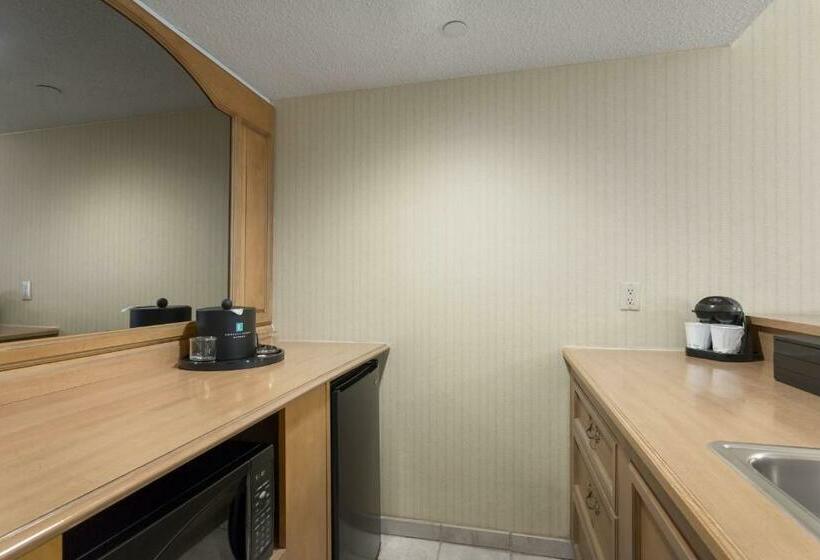 هتل Embassy Suites By Hilton Phoenix Airport