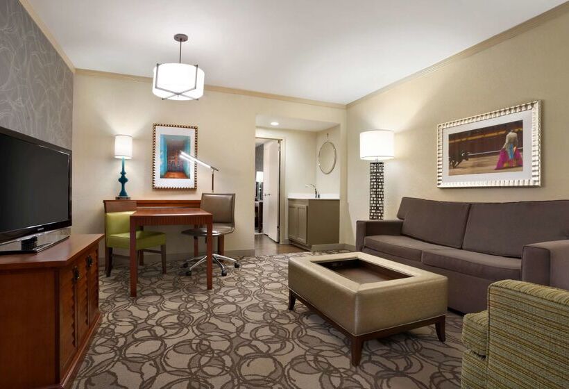 فندق Embassy Suites By Hilton San Antonio Airport