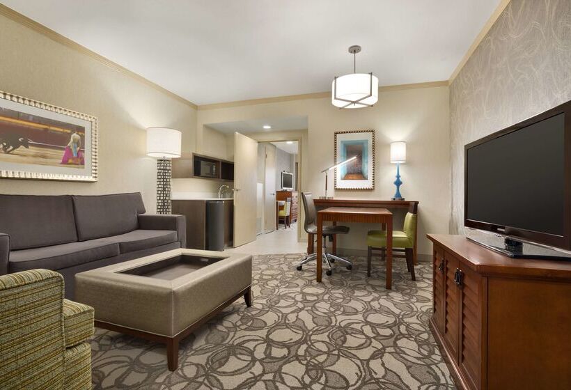 فندق Embassy Suites By Hilton San Antonio Airport