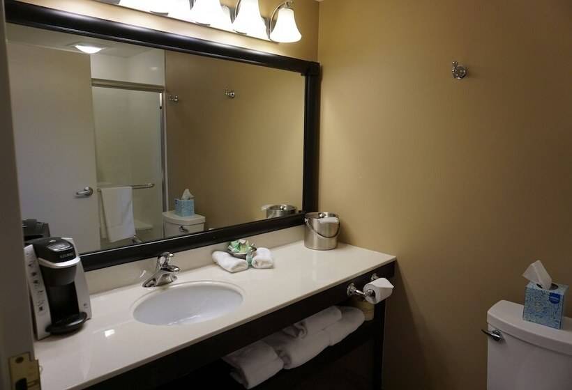 호텔 Findlay Inn And Conference Center