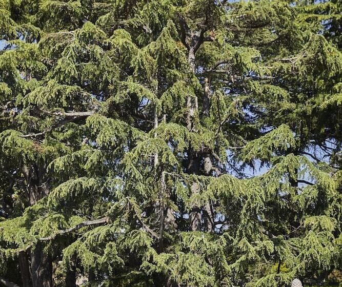 فندق Graduate By Hilton Berkeley