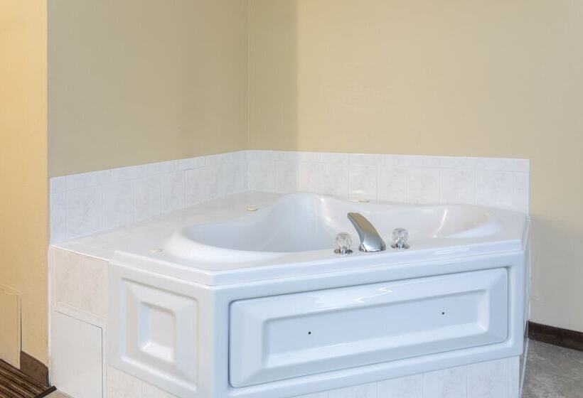 ホテル Med City Inn & Suites Rochester Mayo Clinic Area